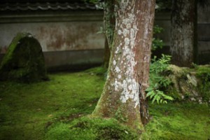 石山寺２０１５．６．２２